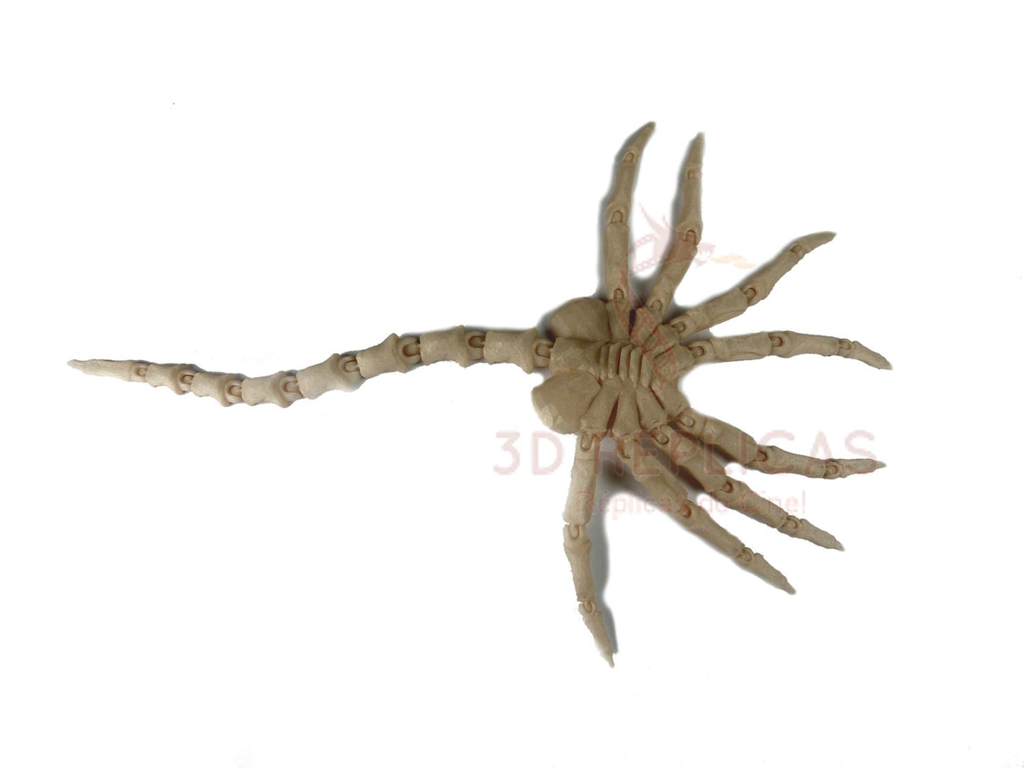 Alien Facehugger Atrapacaras Face Hugger Articulated Articulado Poseable SKIN TAN Model - MEDIUM Size